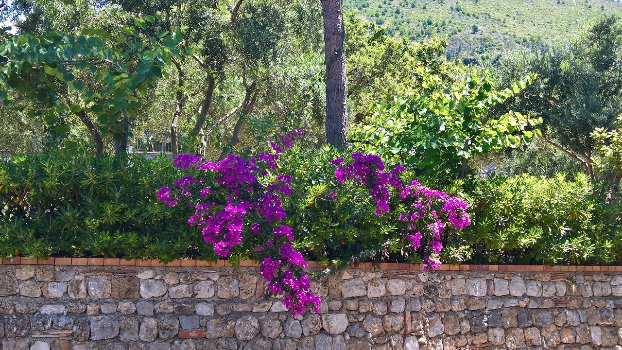 Hotel Cala Del Citro Маратея Экстерьер фото